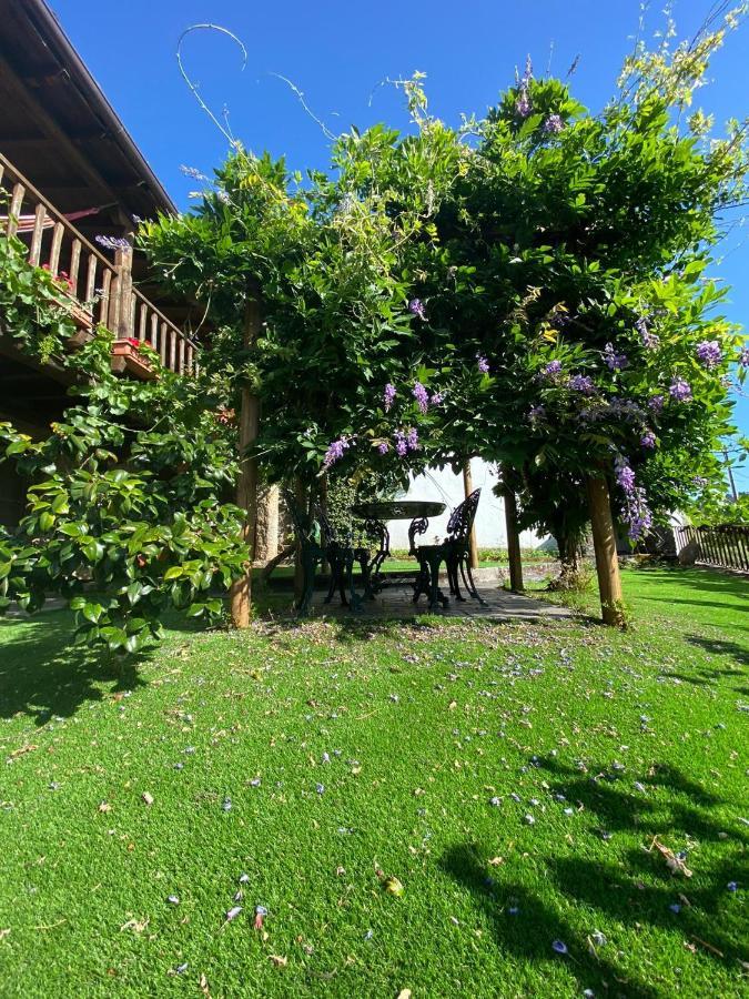 Hostal Casa Do Pomar Bragança Exterior foto